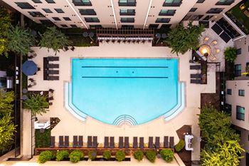 A swimming pool surrounded by lounge chairs and greenery.